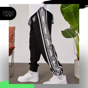 Pugo -008